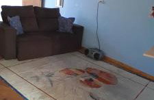 Casa quatro patas - Photo 4