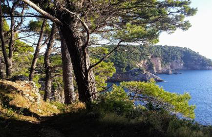 Apartment Iva&Andro - Foto 23