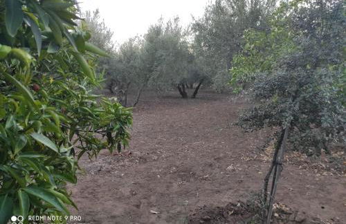 LOS ABUELOS - Foto 74