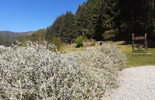 Il Bosco di Campo Marzano studios - Foto 33