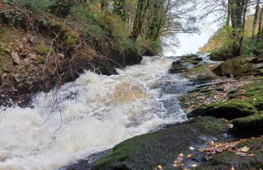 the tillys cottages - Foto 30