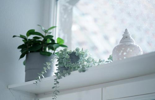 Stadthuuske - Photo 33