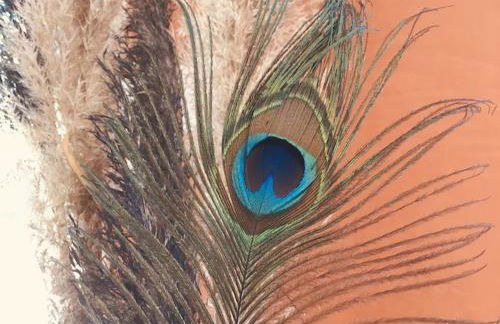 Domaine de la Ronce - Foto 9