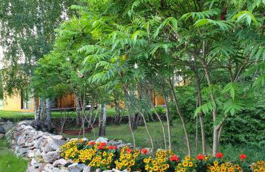 Kamienny Ogród Holiday Park - Foto 59