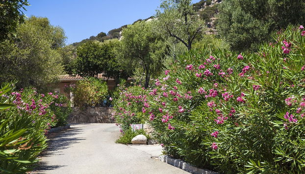 Entrada (vista interior)