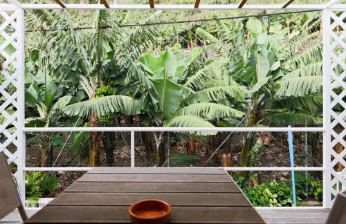 Baldeia - Oceanfront Apartments - Foto 14