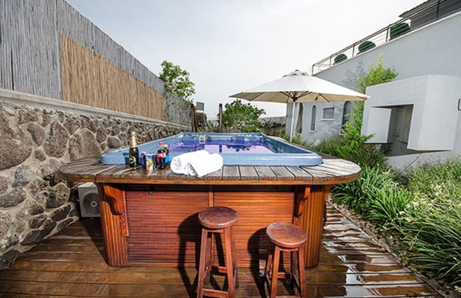 Black and White Holiday - Photo 9