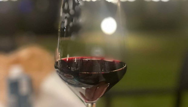 Taste exquisite wines and traditional products of the region