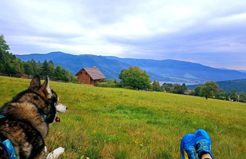 Apartament EWCIA - Foto 27