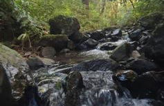 Chácara paraíso dá paz - Foto 11