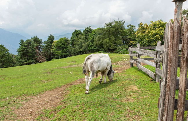 Farmhouse in Verbania With Lake Views - Foto 14