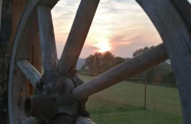 Wild Life Ranch - Foto 29