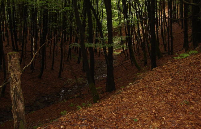 Cosy Apartment in Hallenberg Near Centre - Foto 58