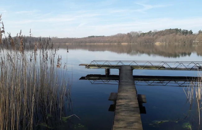 Feriendorf am Weinberg, Dobbrikow - Foto 65
