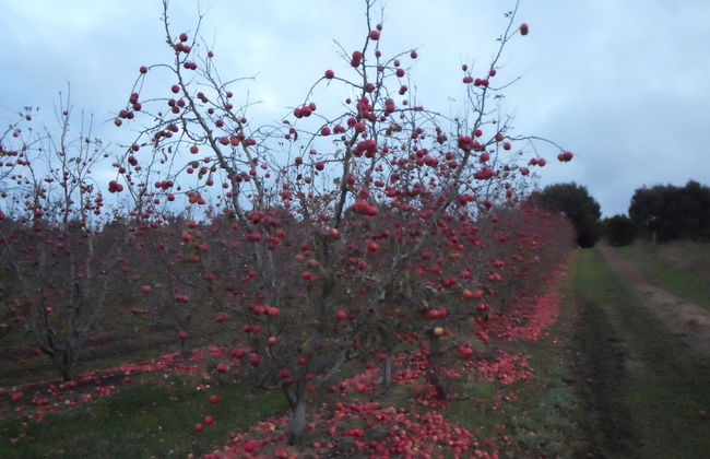 Beachwalk Cottage - Foto 28