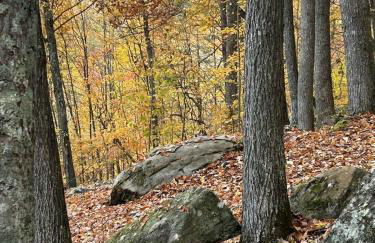 Cherokee Cabin-Cave Run Lake and Cliff Views-Red River Gorge - Foto 47