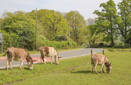 Gwydn Lodge - Photo 31
