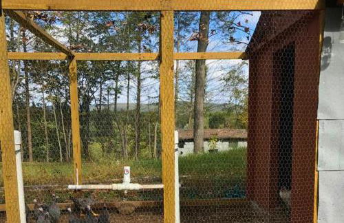 Rare River Views & Access, Cabin by Eden Islands - Foto 55