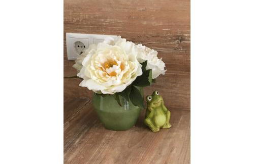 Froschkoje - Foto 15