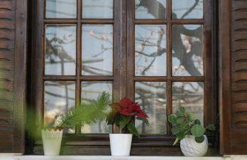 Resort Village - Foto 65