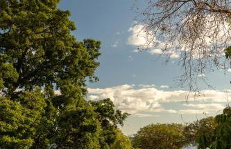 Safira Suites 301 - Foto 29