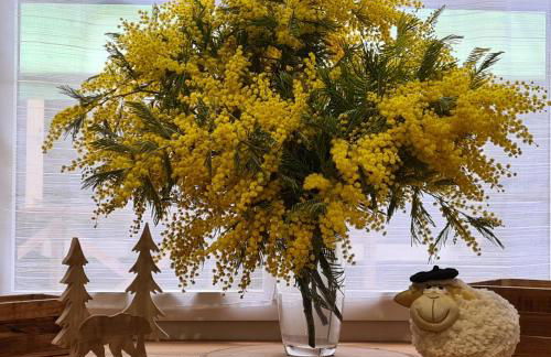 Appartement César de standing plein centre - Foto 9