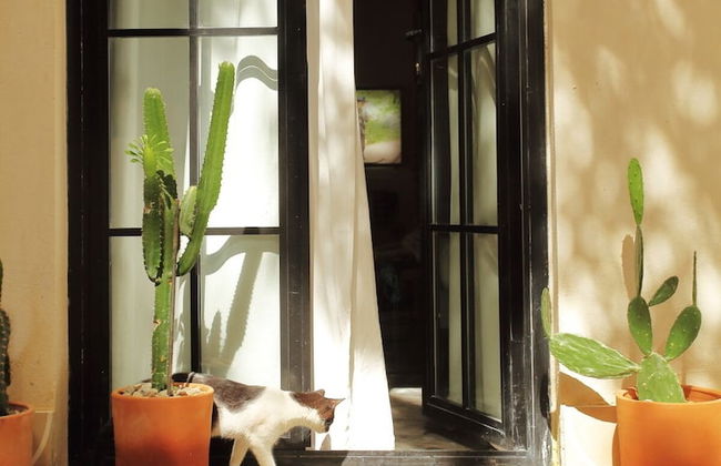 FIXIE LOFTS - Colonial Villa Suites with Pool - Foto 73