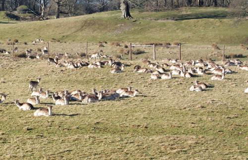 Sunny Bank, Cark-in-Cartmel - Foto 40