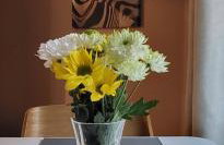 Cosy Stays Daybrook - Foto 10