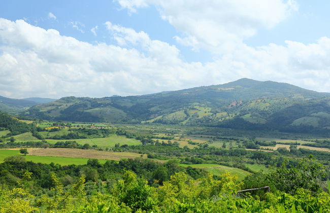 Casa dell'Orto - Photo 27