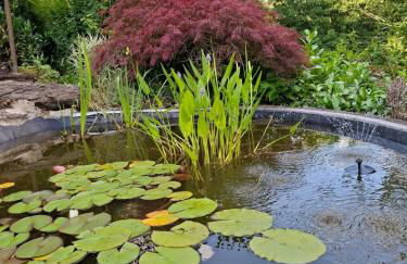 Krez Ferienhaus - Foto 10