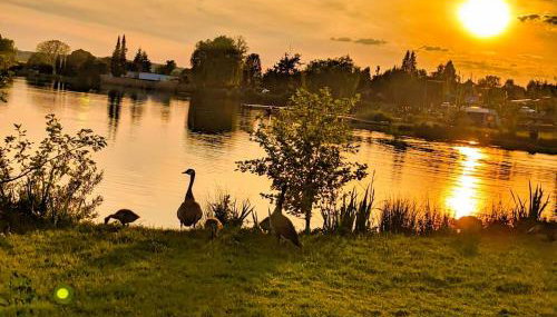 Gemütliche Ferienwohnung - Inheidener See - Foto 5