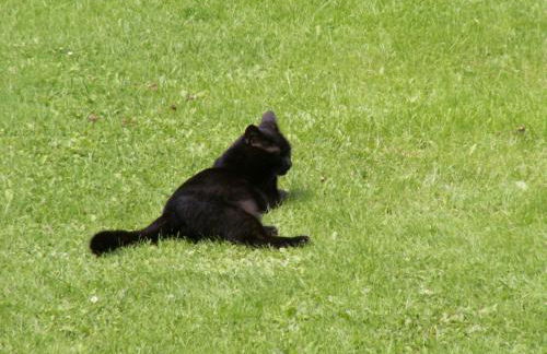 Ferienwohnung Sternkopf - Foto 25
