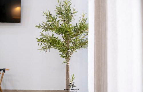 Bolivia Collection Playa Pedregalejo By Aloha Málaga - Foto 20