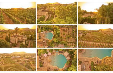 Agroturismo Sa Vinya des Convent - Foto 65