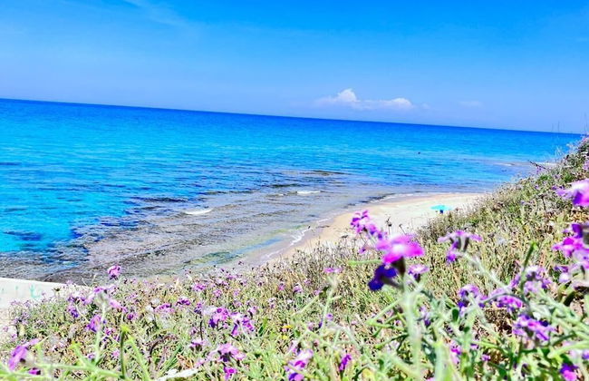 Sea View House 3 Panorama, Nature, Sun, Peace - Foto 16