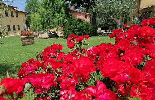 Podere Piandarca - Photo 56