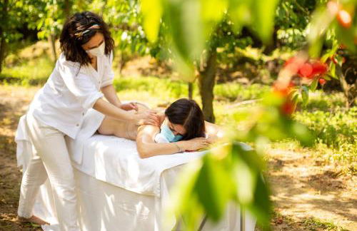 Quinta dos Padres Santos, Agroturismo & Spa - Foto 19