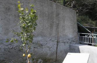 Casa Rosanna - Foto 30