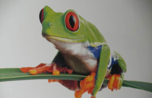 Appartement Cécile - Foto 9