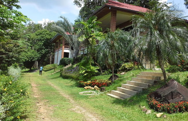 Freedom Estate - Photo 28