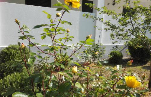 Apartman MAKA - Photo 20