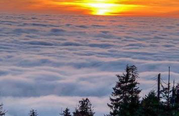 Ferienhaus Bayerwald - Foto 25