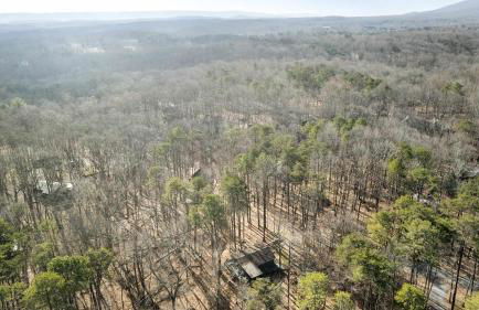 Zen Vibe w Fireplace Grill Deck & Screened Porch - Foto 46