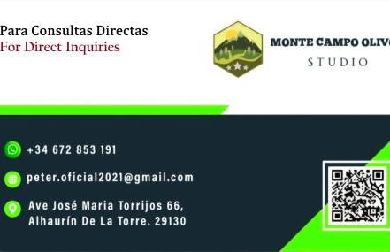 Monte Campo Olivos Studio - Photo 32