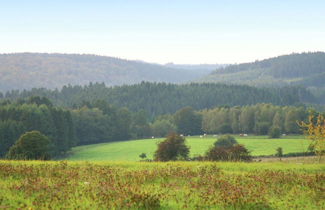 Chalet Just Outside Hampteau Offering Magnificent Views Across the Ourthe Valley - Foto 39