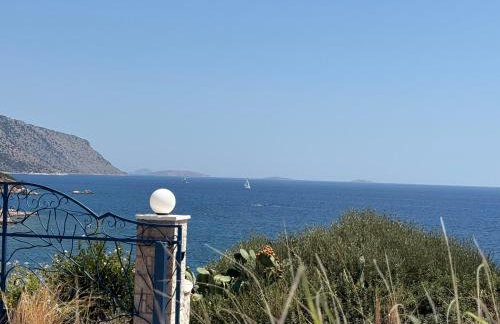 Livealot Villa - Foto 68