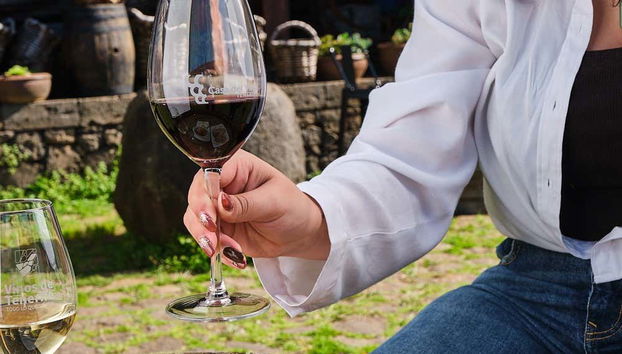 Dégustation de vin à Tenerife