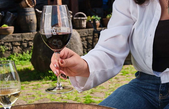 Degustación en la Casa del Vino - Foto 2