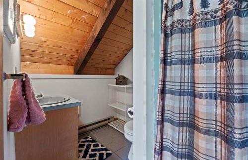 UNUSUAL LATITUDE LIMIT 7 cottage - Foto 22